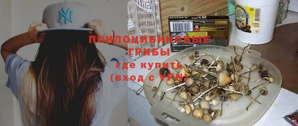 mix Богородицк