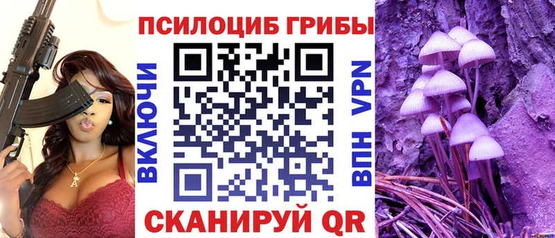 Псилоцибиновые грибы прущие грибы  купить наркотик  Купино 